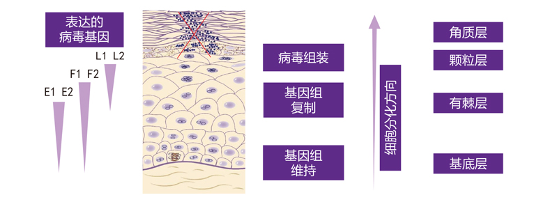 PG电子(平台官网)股份有限公司