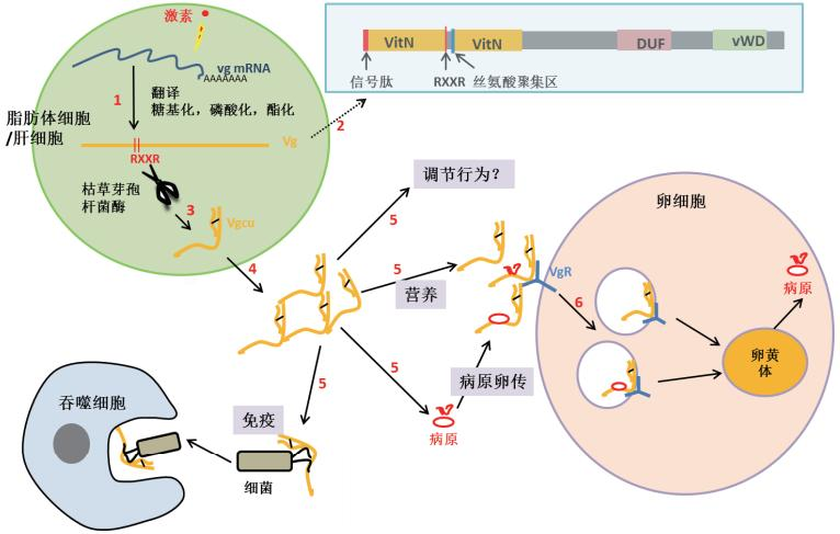 PG电子(平台官网)股份有限公司